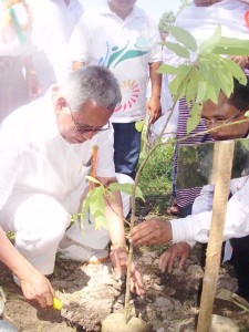 Lok Sabha MP from state, Thokchom Meinya planting a sapling during the environment day observation organized by the Vision Fondation Manipur and Pioneer Health Club Manipur under the sponshership of Environment and Ecology Wing, And Central Forest Department.