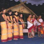 traditional-festival-14