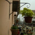 View of flower pots 1