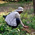 MAPC Members Planting Tree Samplings at Eshingthingbi Lake Chandel, Manipur