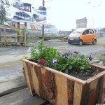 The new indegeniously built Flower planter
