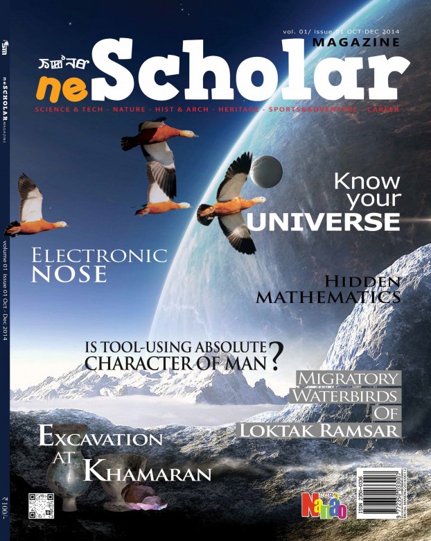 First Issue neSCHOLAR cover