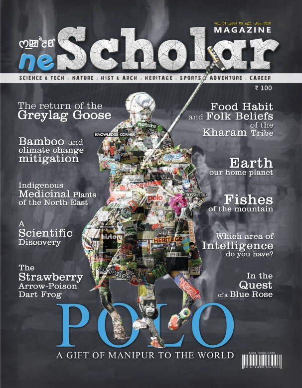 Third Issue cover